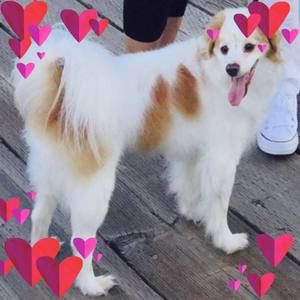 Meet your Posher, Elda